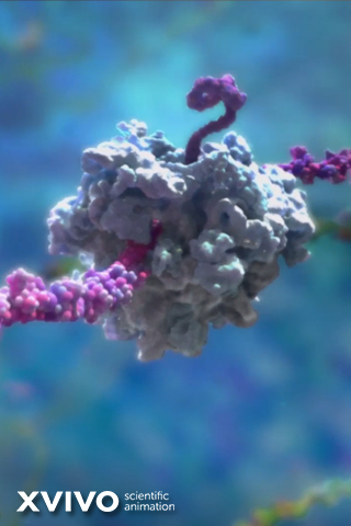 A detailed 3D animation of a molecular structure against a blue background. The structure features a complex arrangement of grey and purple components, resembling a protein or cellular model, showcasing intricate biological processes.