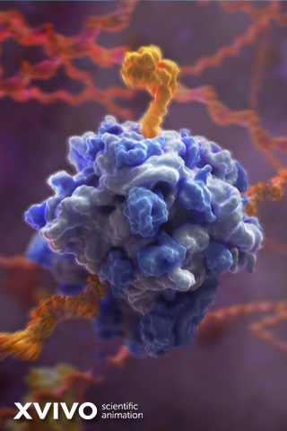 A 3D scientific animation shows a complex molecular structure with a large blue protein interacting with orange and yellow strands, set against a blurred purple background.