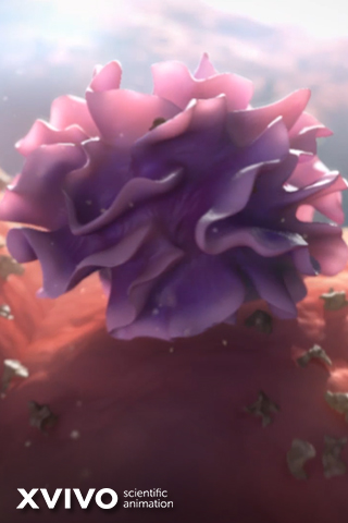 A purple, flower-like structure with ruffled petals is depicted against a blurred background. The logo XVIVO scientific animation is visible in the lower left corner.