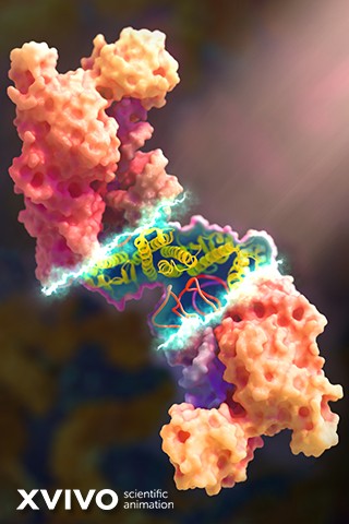 Illustration of a molecular structure with two large, colorful protein-like formations interacting with a twisting double helix of DNA in the center, highlighted by a glowing effect. The background is blurred.