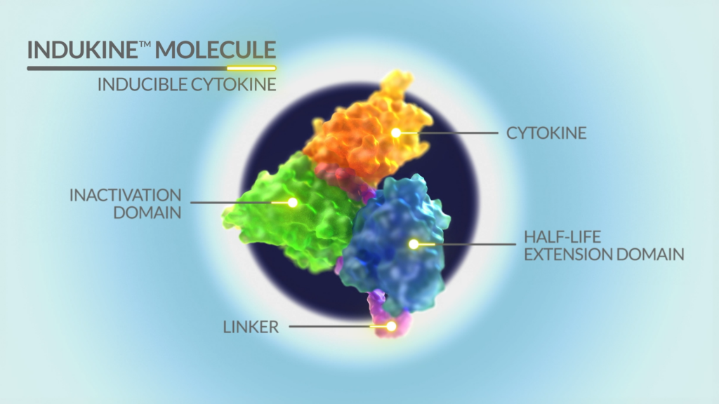INDUKINE molecule