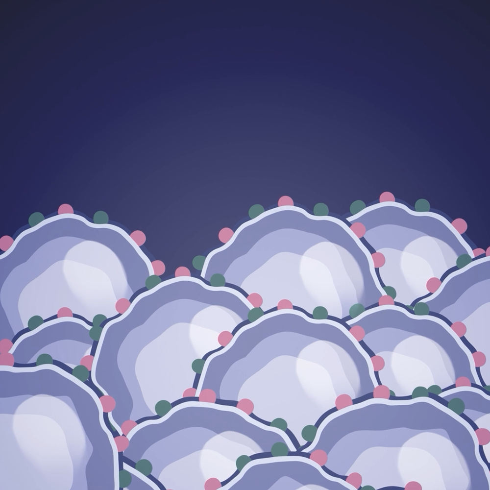 Cancer and Immunotherapies 2D Animation