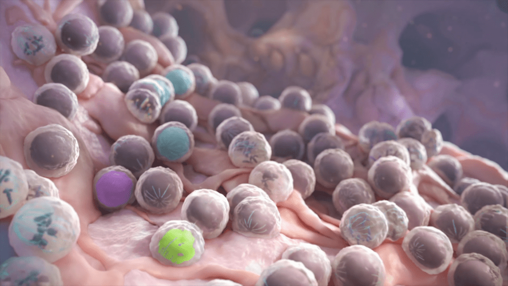 A close-up illustration of various colored spherical cells clustered on a soft, textured surface. The spheres are predominantly gray with a few in green, purple, and blue shades, depicting a dynamic biological environment.
