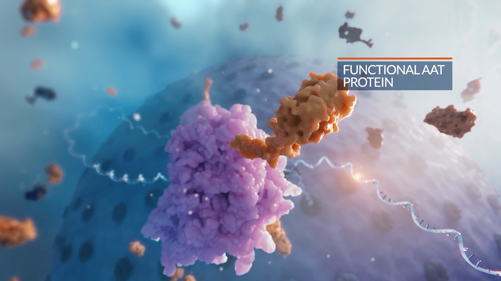 A 3D animation illustrates a molecular structure labeled Functional AAT Protein, showcasing an orange protein interacting with a purple one. Set against a blurred blue background, it vividly captures microscopic activity linked to Alpha-1 Antitrypsin Deficiency at the cellular level.