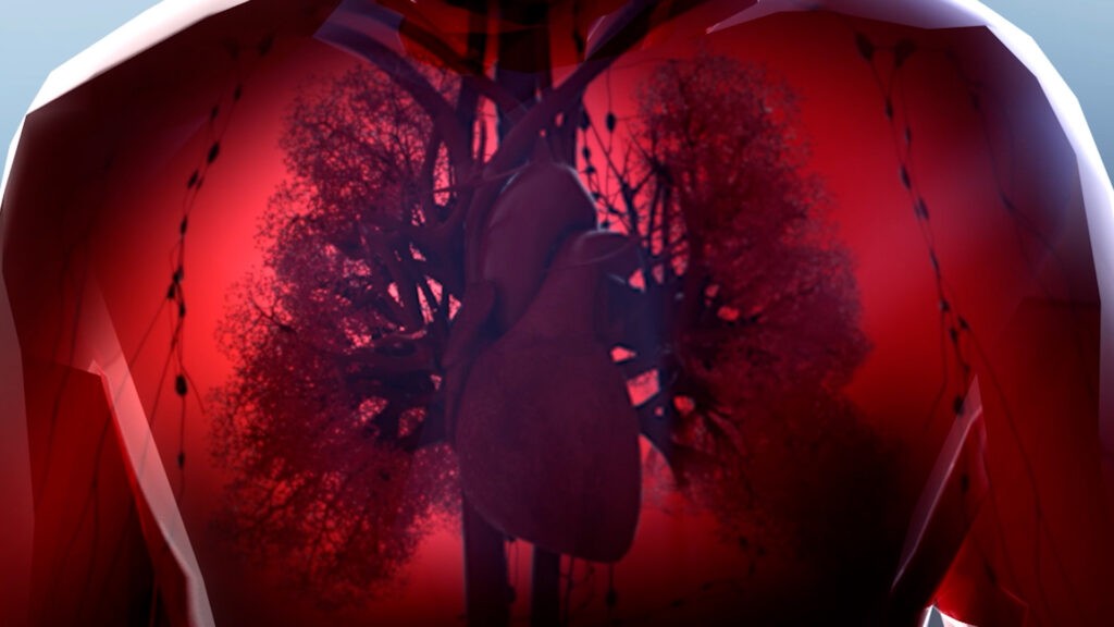 A digital rendering of the human heart, shown from the front with branching veins and arteries, creates a dramatic showreel introduction. Illuminated in deep red, it brings a vivid anatomical focus to the cardiovascular system.