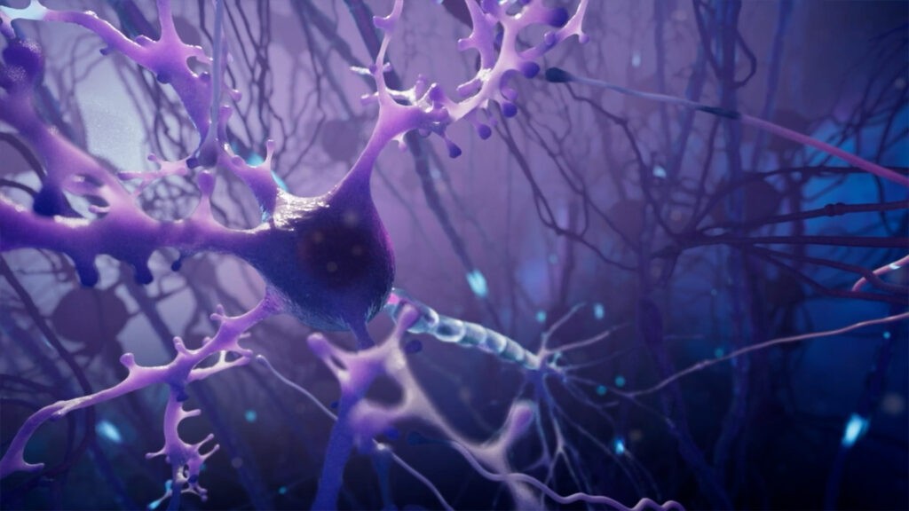 Introducing a new showreel: a 3D illustration of a neuron with branching dendrites in purple hues, set against a network of interconnected neural pathways. The background features a gradient of blues and purples, creating an immersive sense of depth and complexity.