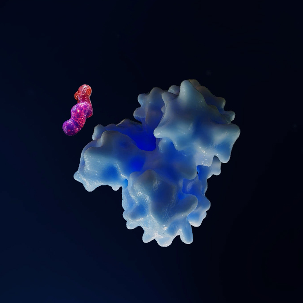 Touchscreen Experience: “Acquired BTK Mutations and Drug Resistance”