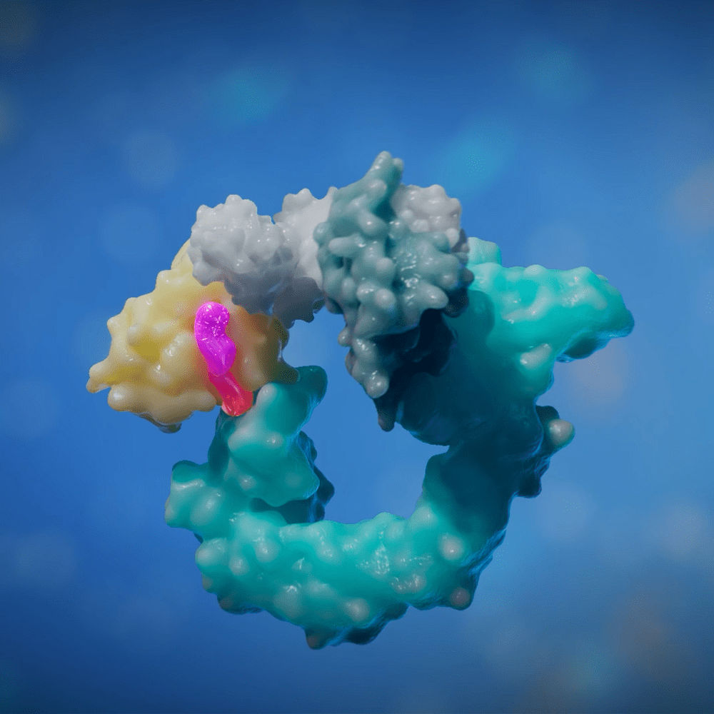 BTK Degrader MOA Animation: BGB-16673