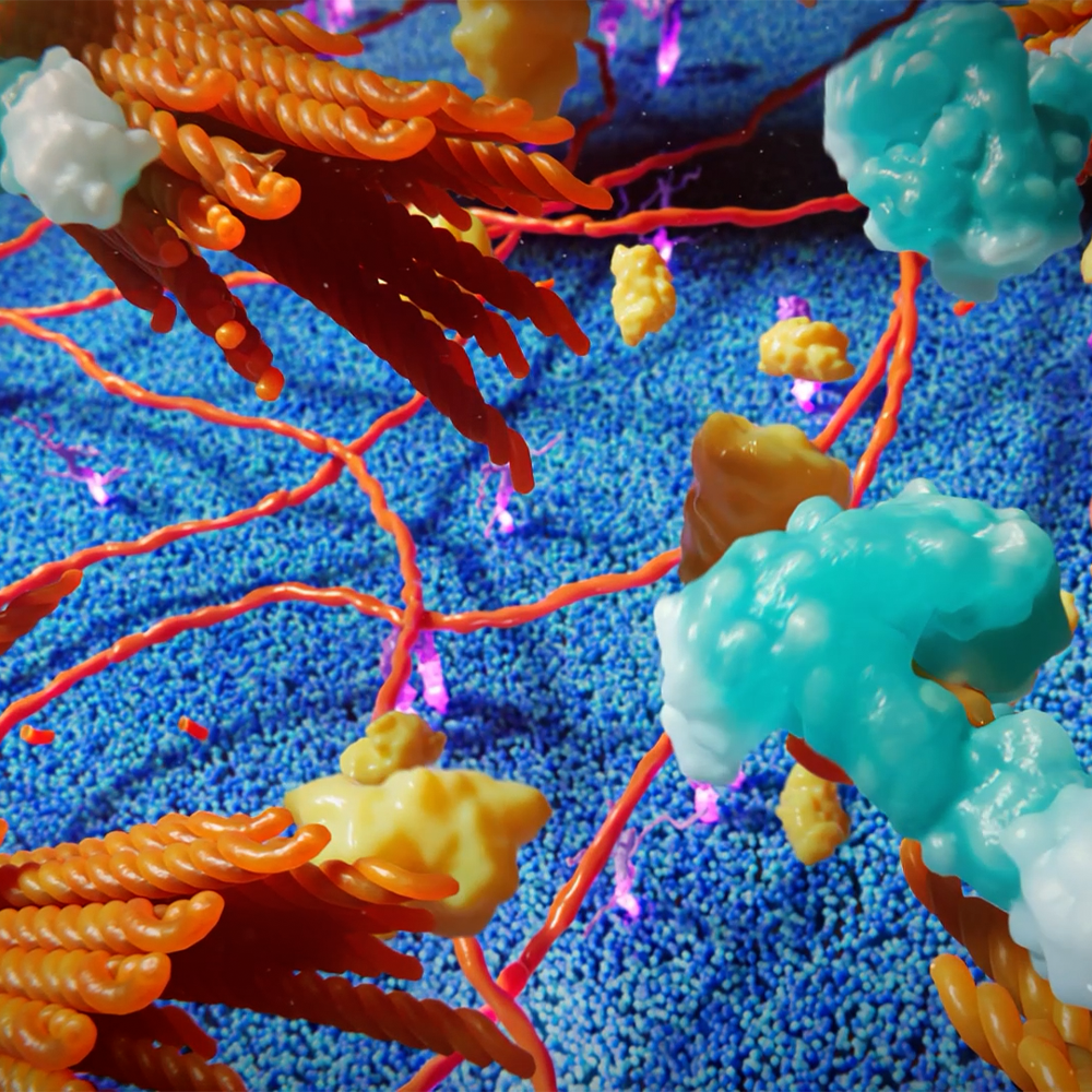 Cell Recovery with VitaCyte Animation