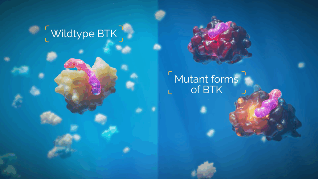 Wildtype BTK and two mutant forms of BTK