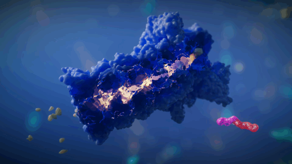 Proteasome degrading a target protein