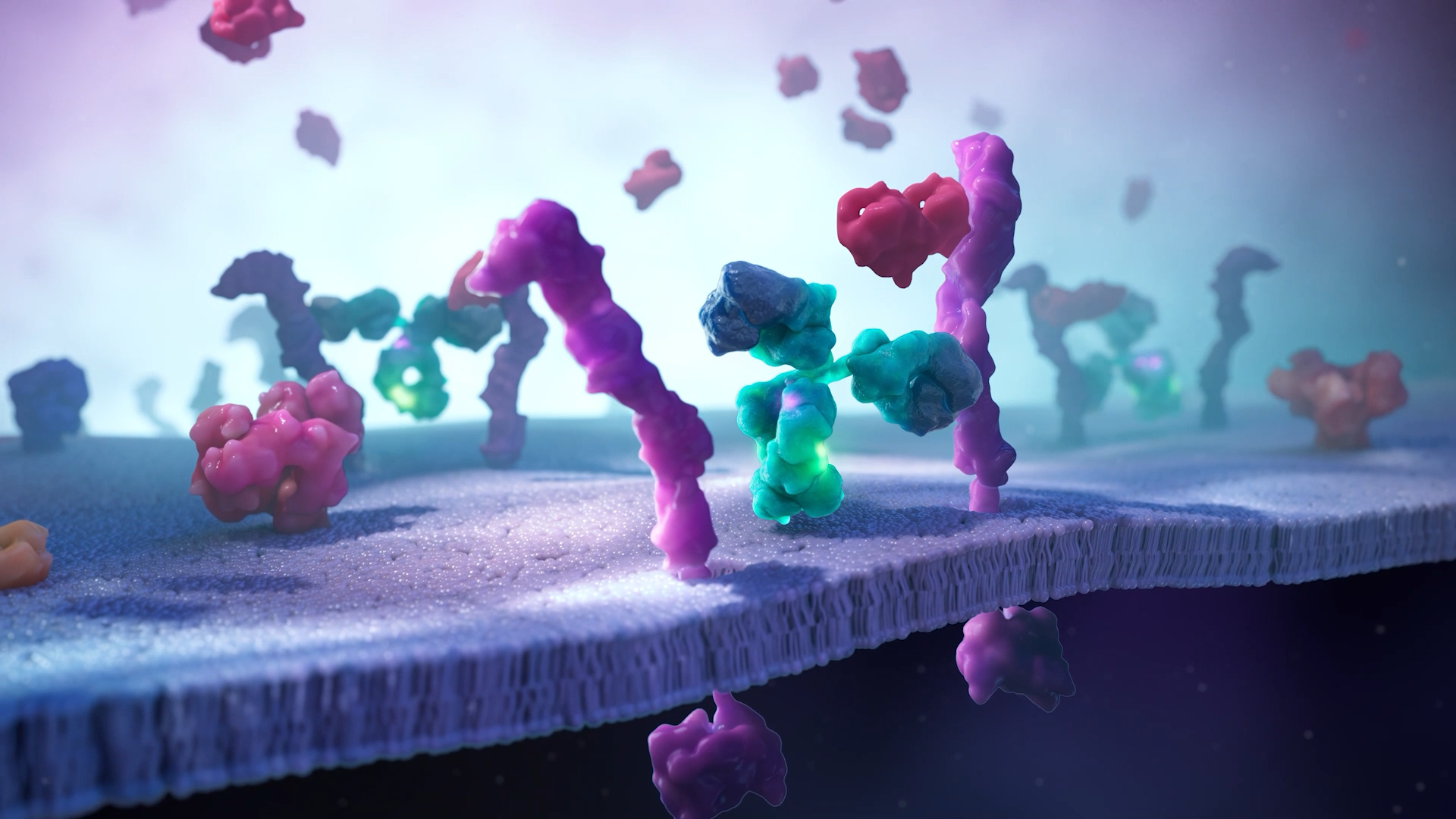 Barzolvolimab bound to KIT receptor