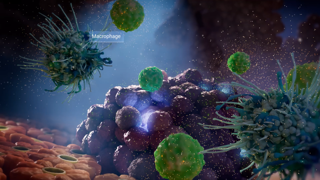 macrophage and tumor cell environment