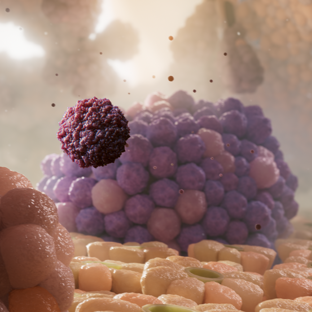 How viruses may cause Type 1 Diabetes